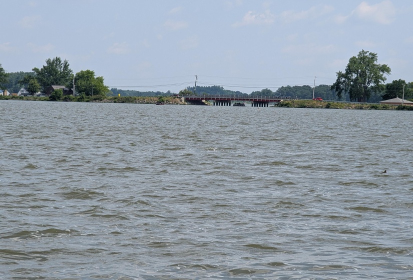 Open Water