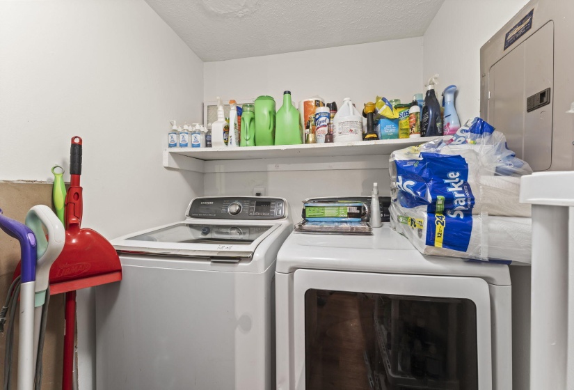 14-web-or-mls-DSC02916