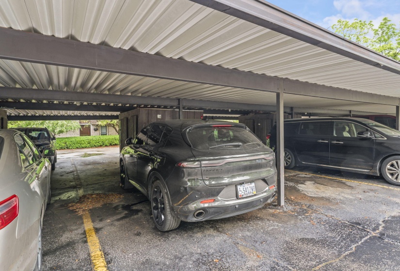33-web-or-mls-DSC03036