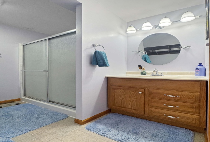 Owner's Bathroom