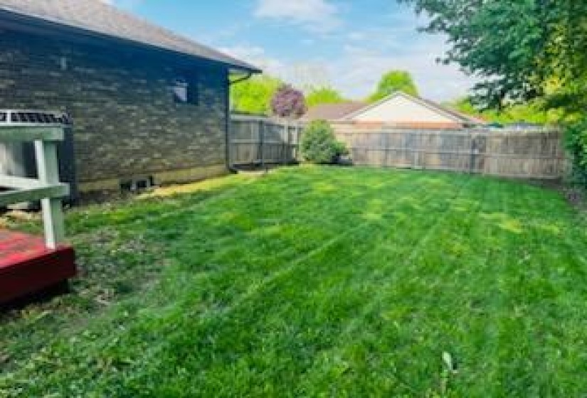 IMG_20250612_100148