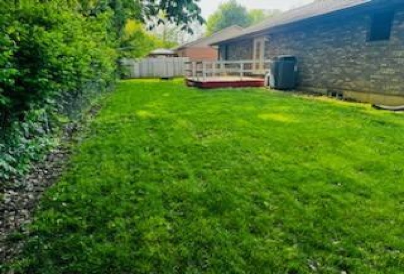 IMG_20250612_100151