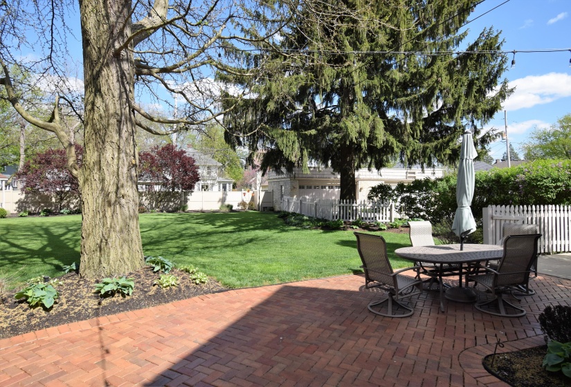 Rear Patio