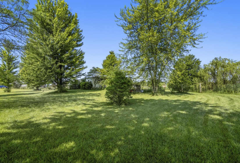 DSC04573-HDR