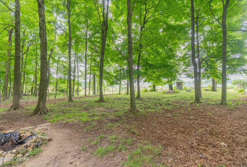 9355 Township Road 169, West Liberty, Ohio, 3 Bedrooms Bedrooms, ,3 BathroomsBathrooms,Residential,For Sale,Township Road 169,307398