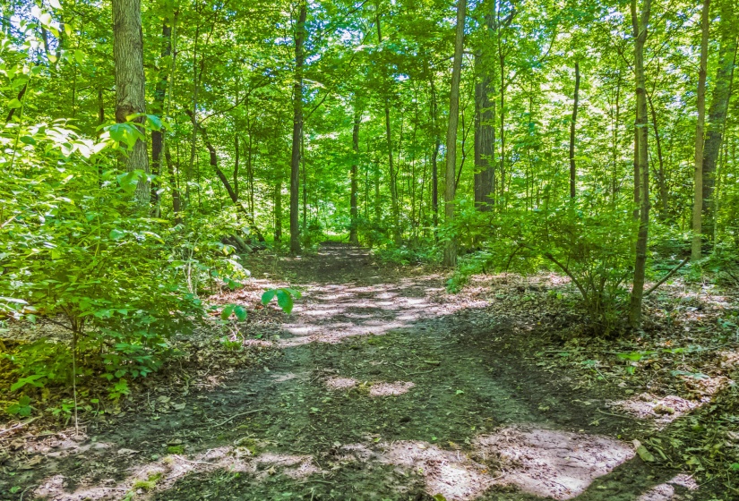 DJI_0086