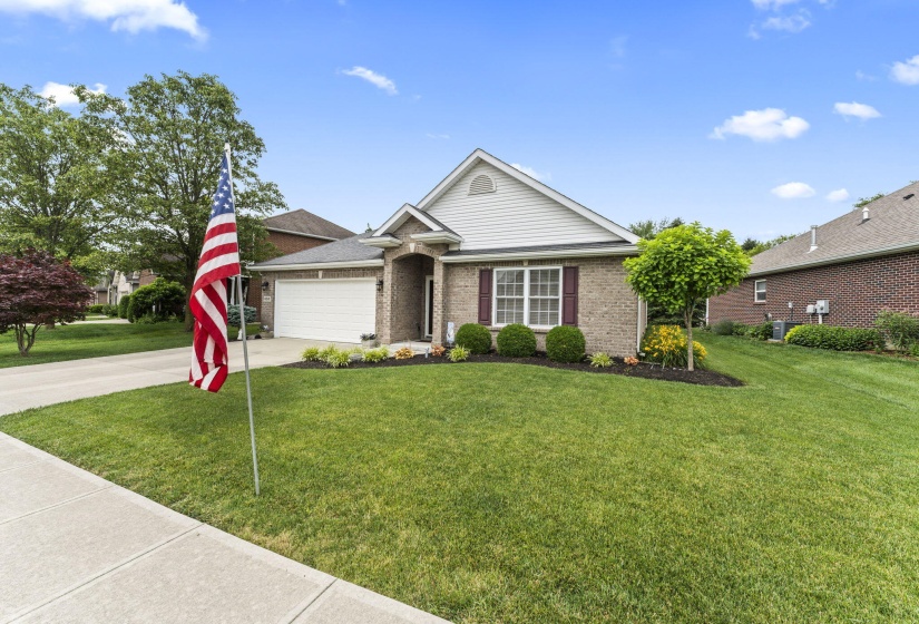 2-web-or-mls-DSC05650