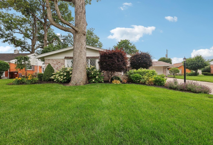 7-web-or-mls-Hickory Dr-1706-007