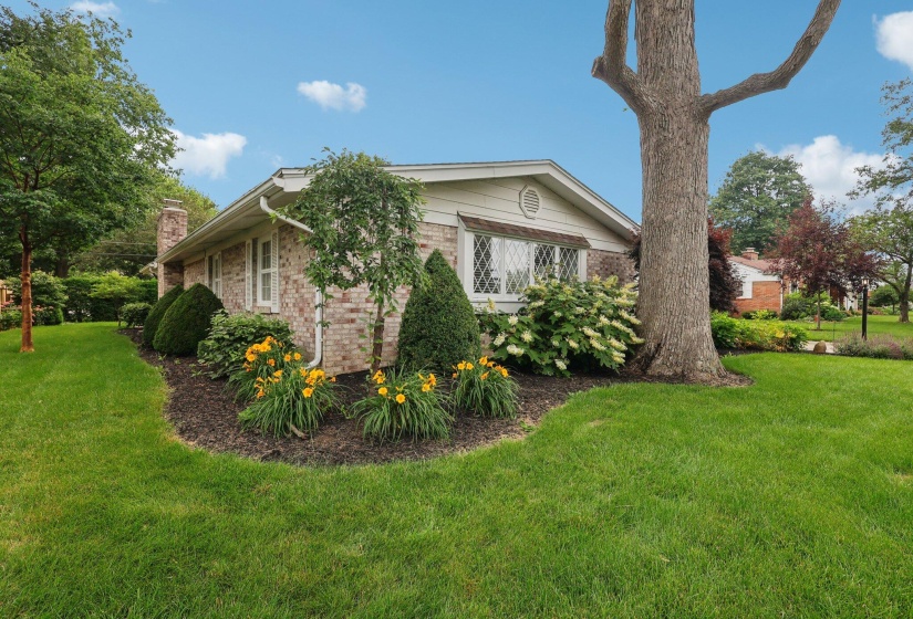 44-web-or-mls-Hickory Dr-1706-044