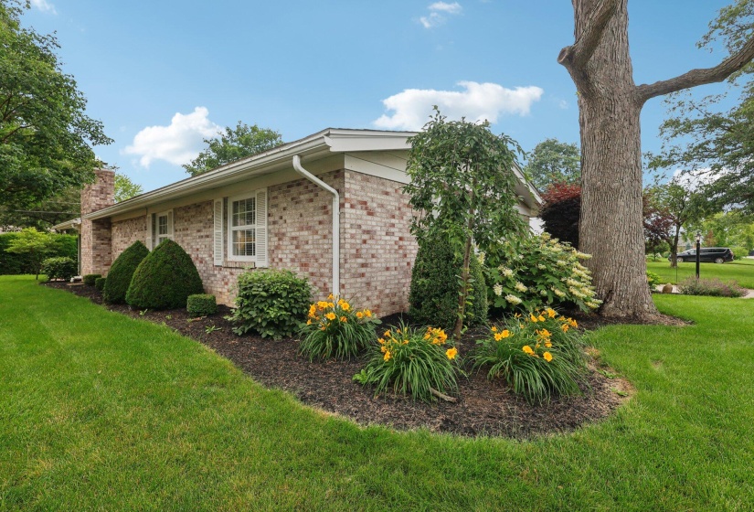 45-web-or-mls-Hickory Dr-1706-045