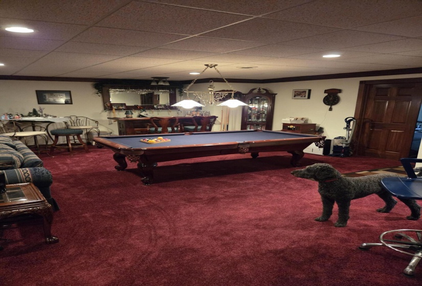 1000001429