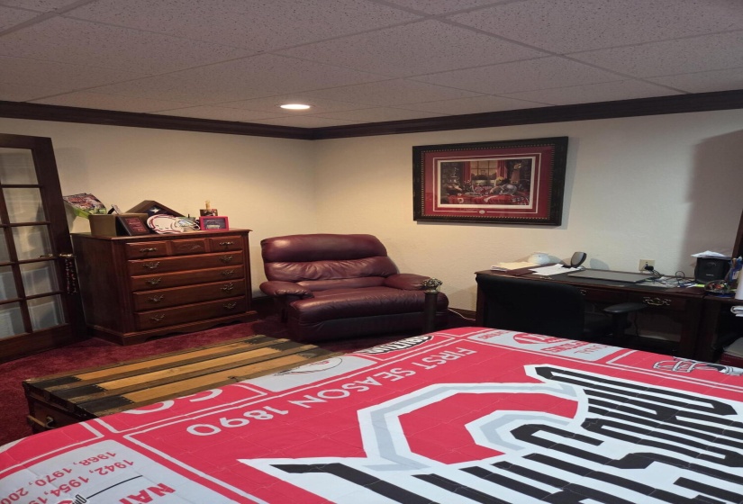 Basement/Bedroom 4 Office