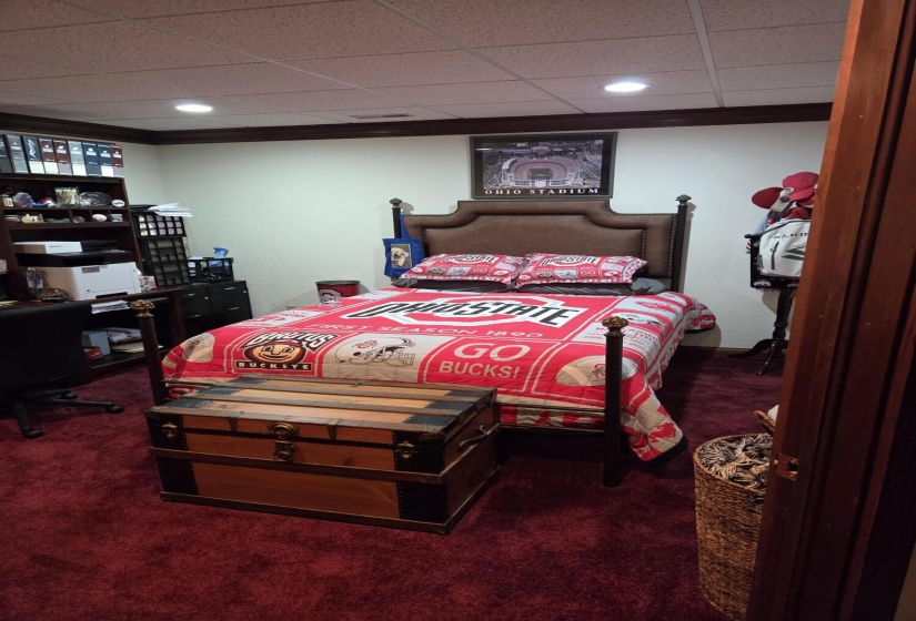 Basement/Bedroom 4 Office