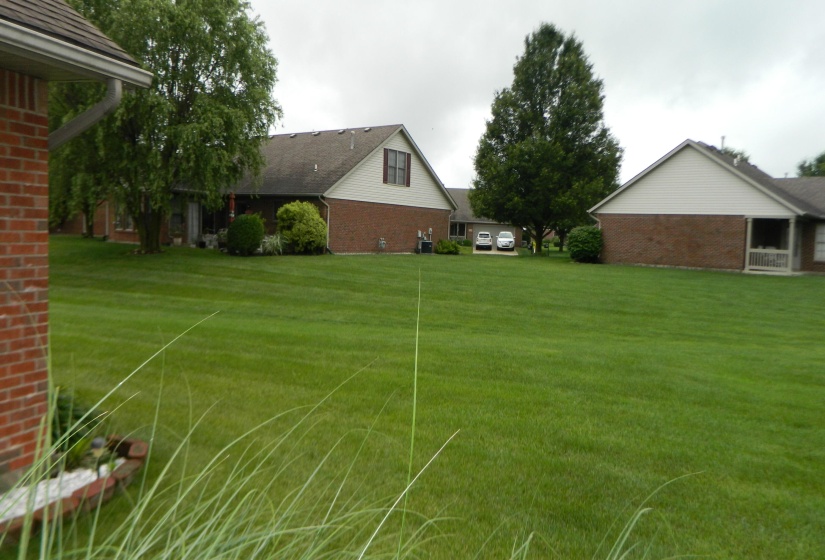 BACK YARD VIEW