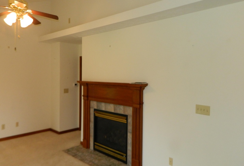 FIREPLACE IN LIVING ROOM