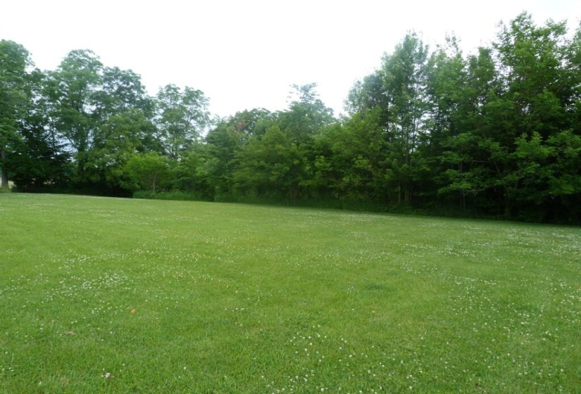 P1130293