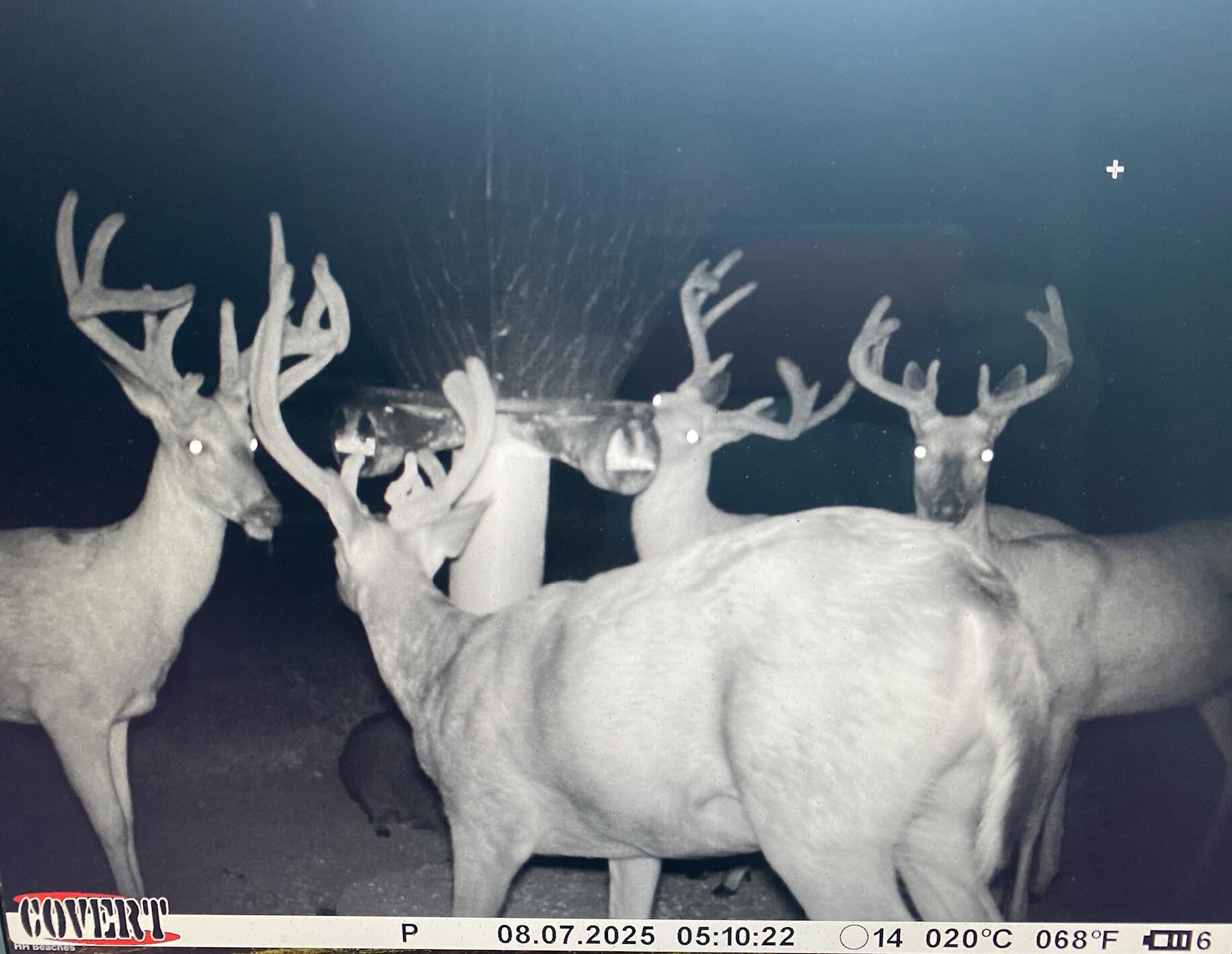 3380 T-129, Zanesfield, Ohio 43360