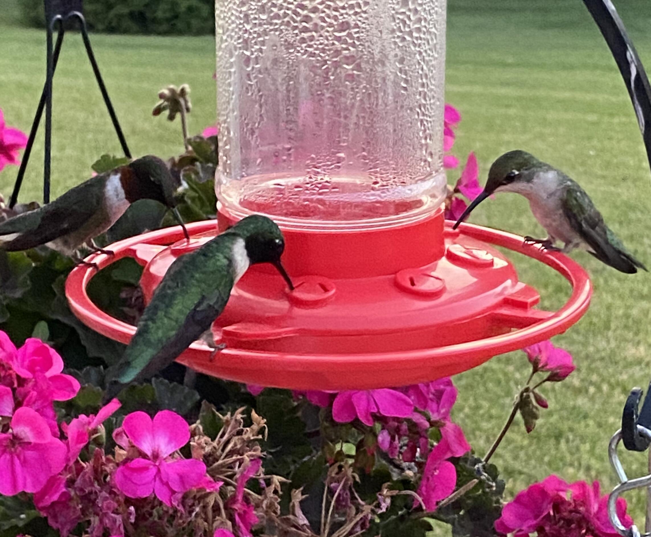 3380 T-129, Zanesfield, Ohio 43360