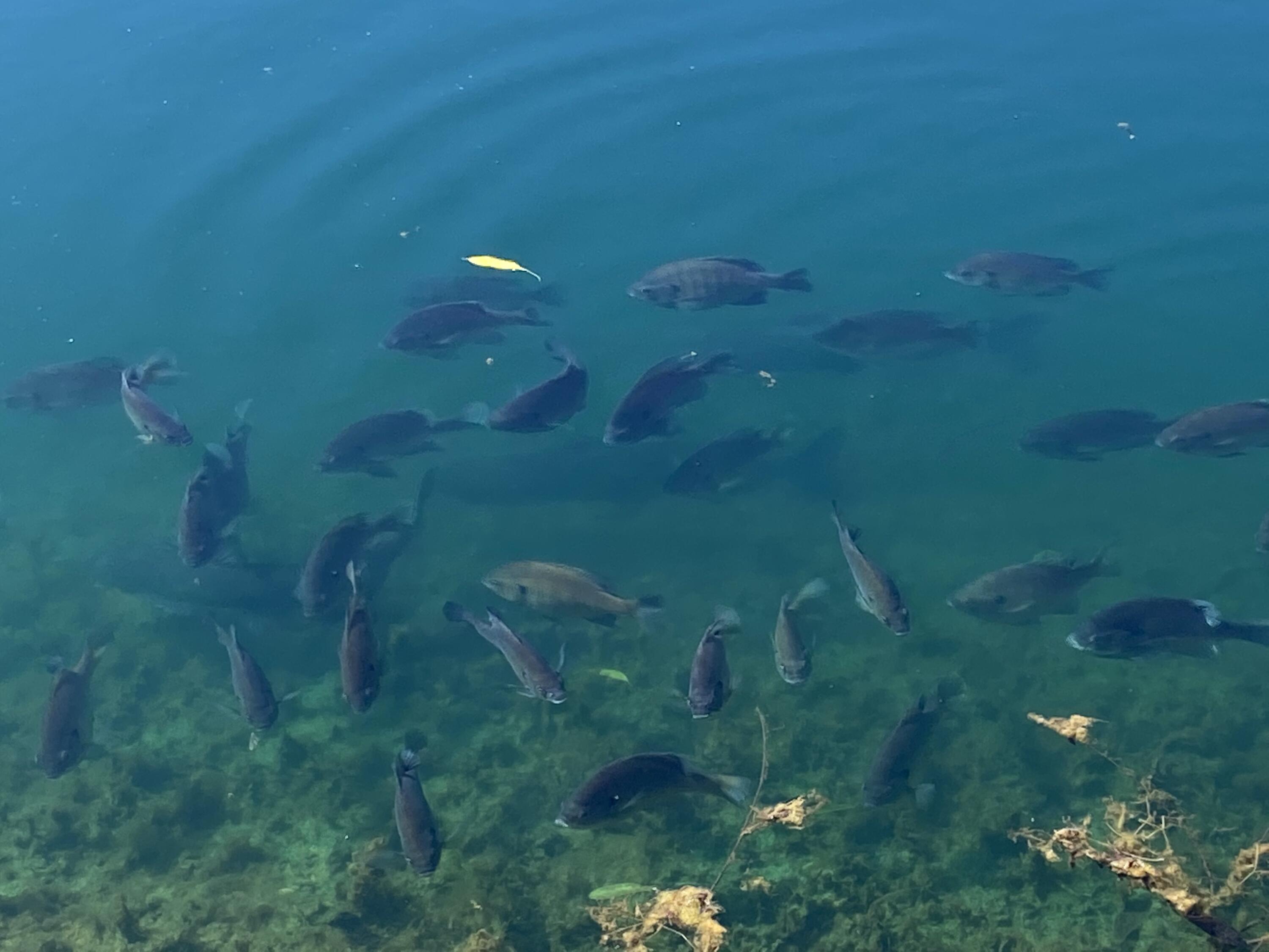 3380 T-129, Zanesfield, Ohio 43360