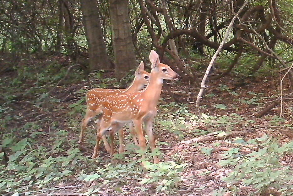 3380 T-129, Zanesfield, Ohio 43360