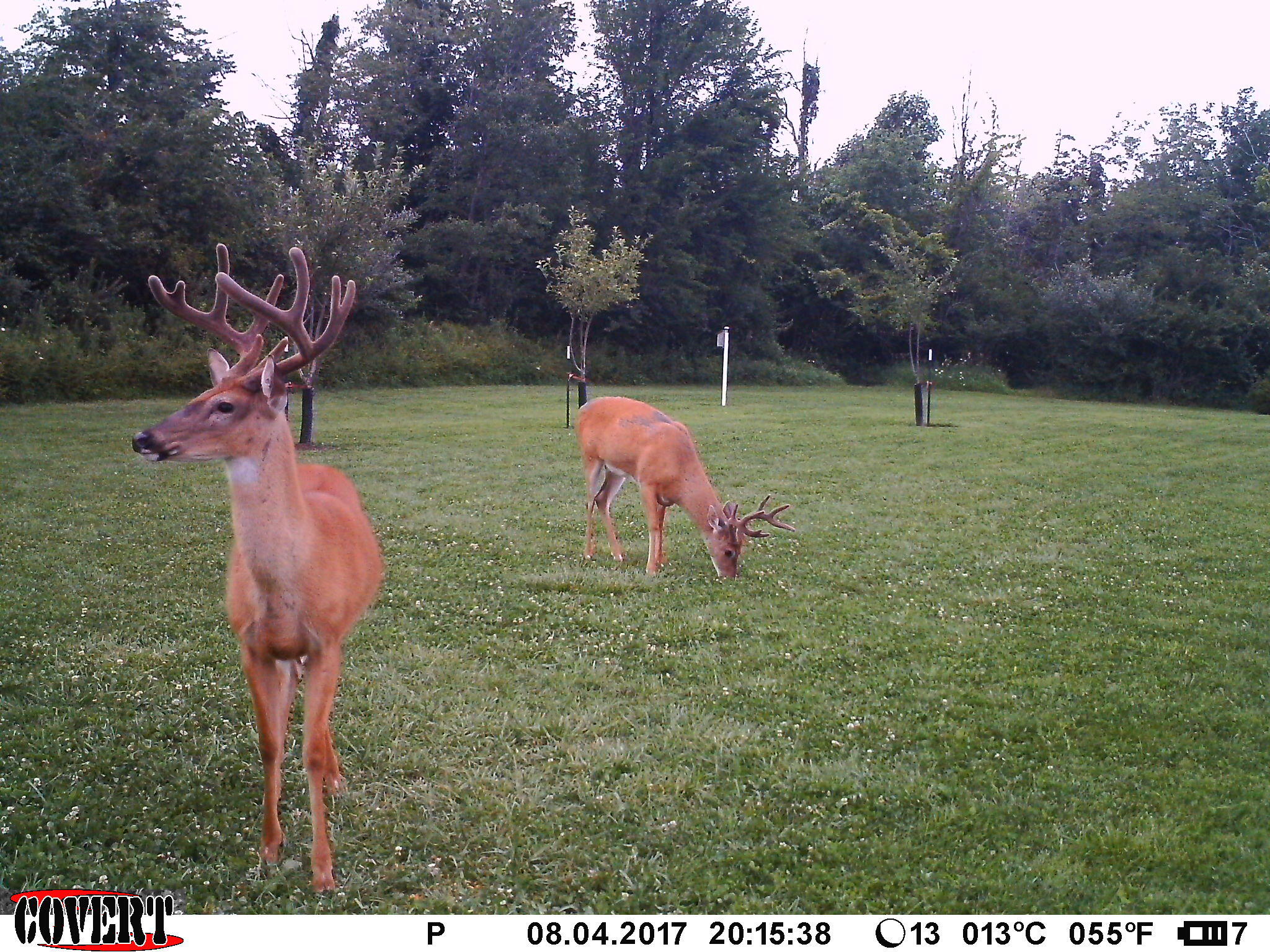 3380 T-129, Zanesfield, Ohio 43360