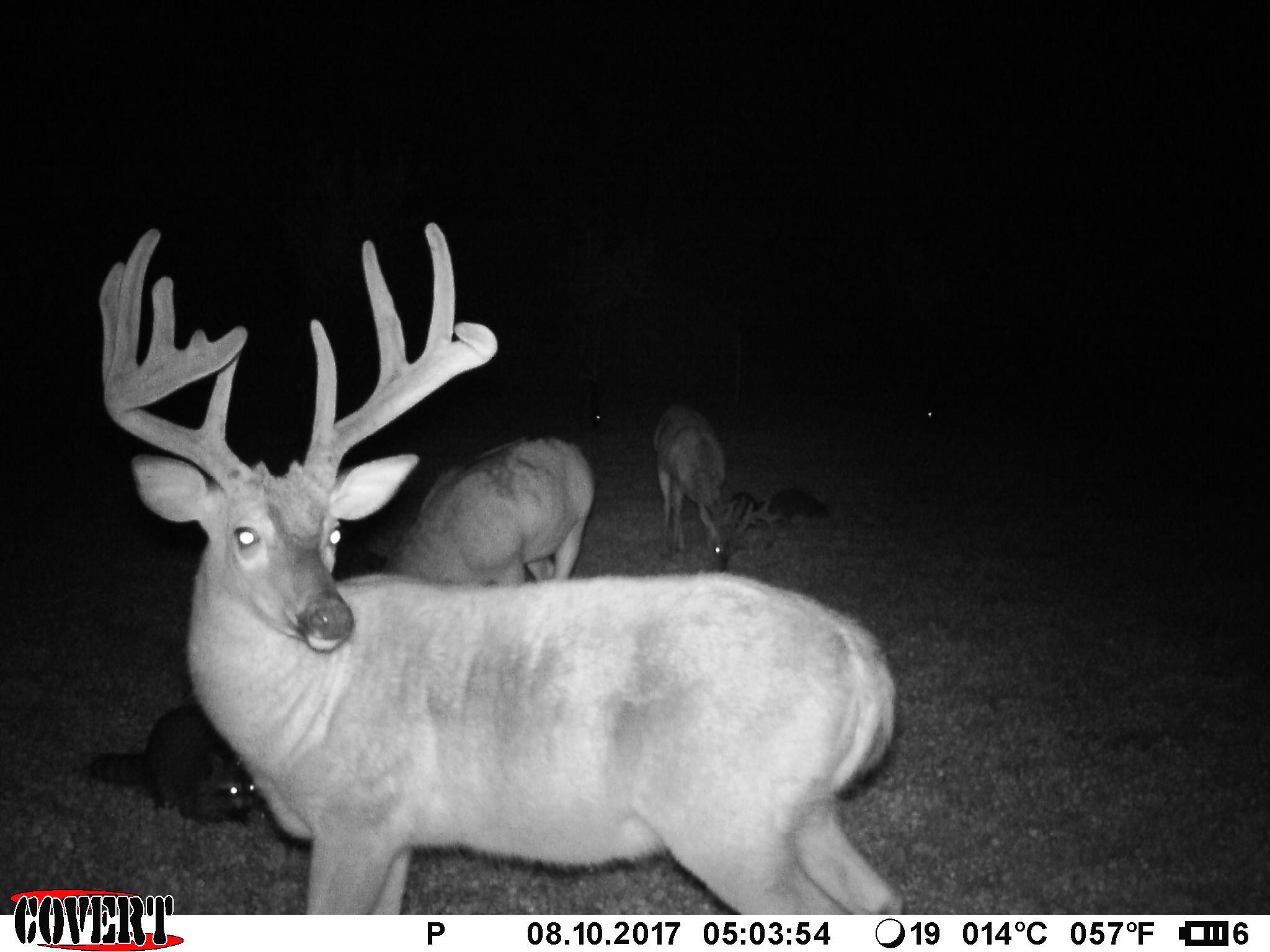 3380 T-129, Zanesfield, Ohio 43360