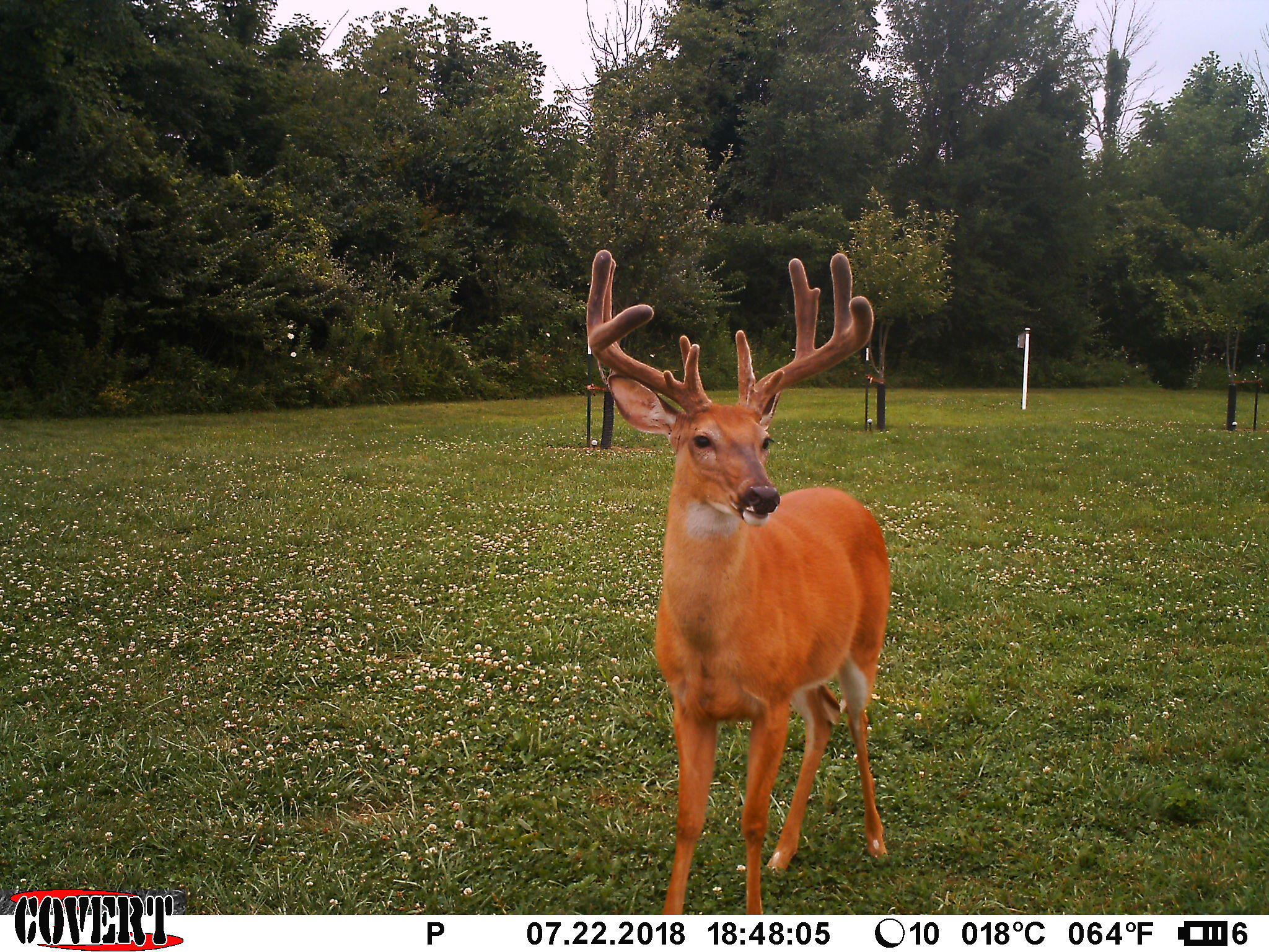 3380 T-129, Zanesfield, Ohio 43360