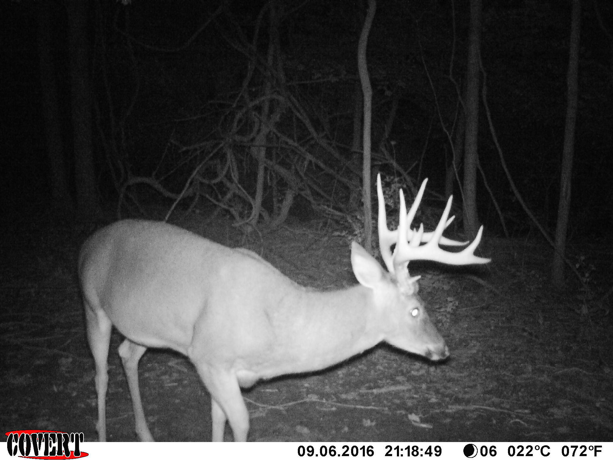 3380 T-129, Zanesfield, Ohio 43360