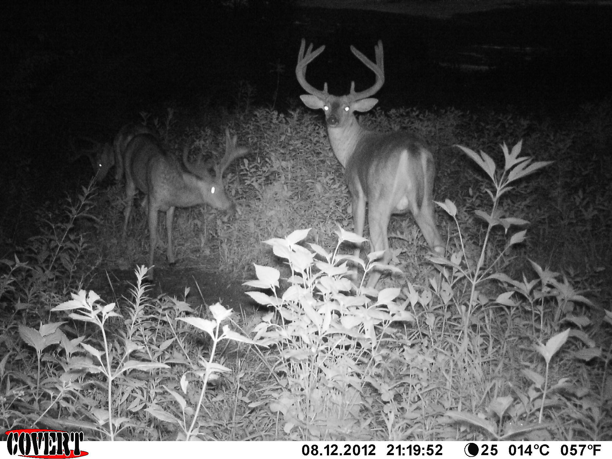 3380 T-129, Zanesfield, Ohio 43360