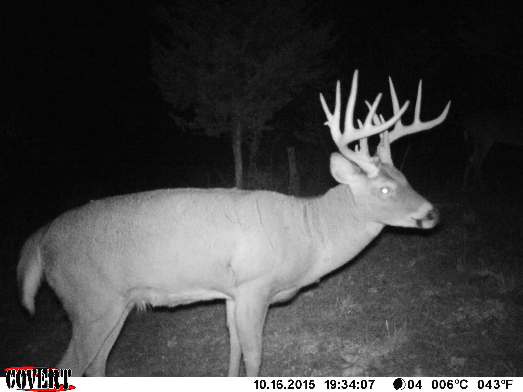 3380 T-129, Zanesfield, Ohio 43360