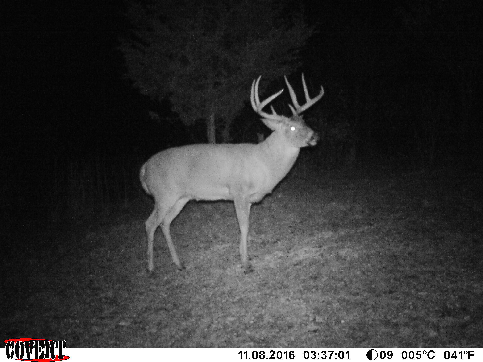 3380 T-129, Zanesfield, Ohio 43360