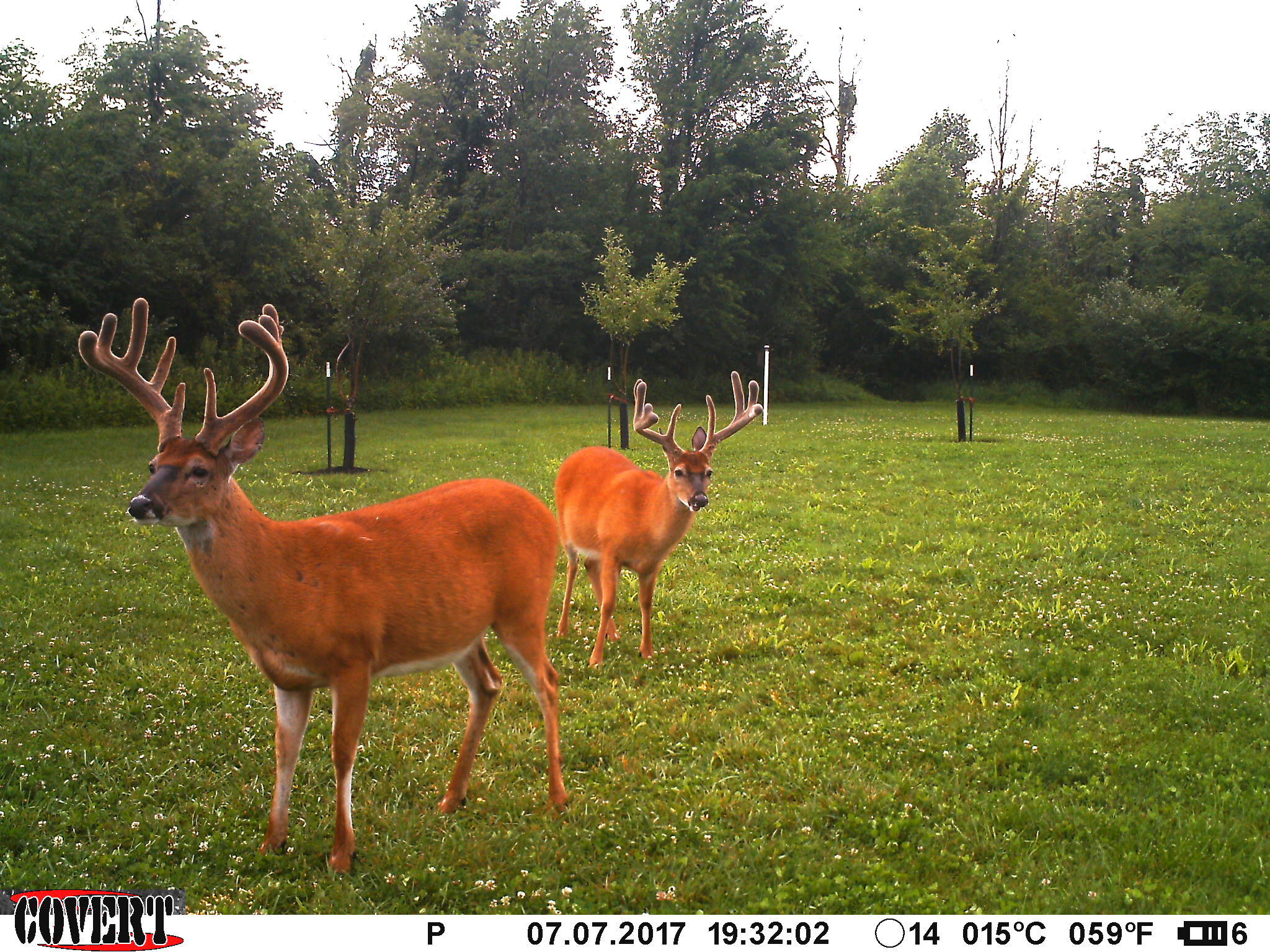 3380 T-129, Zanesfield, Ohio 43360