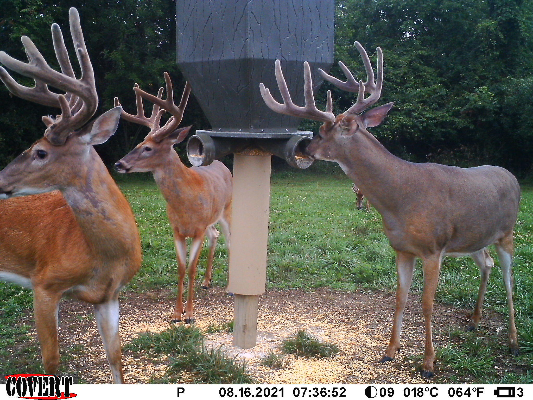 3380 T-129, Zanesfield, Ohio 43360
