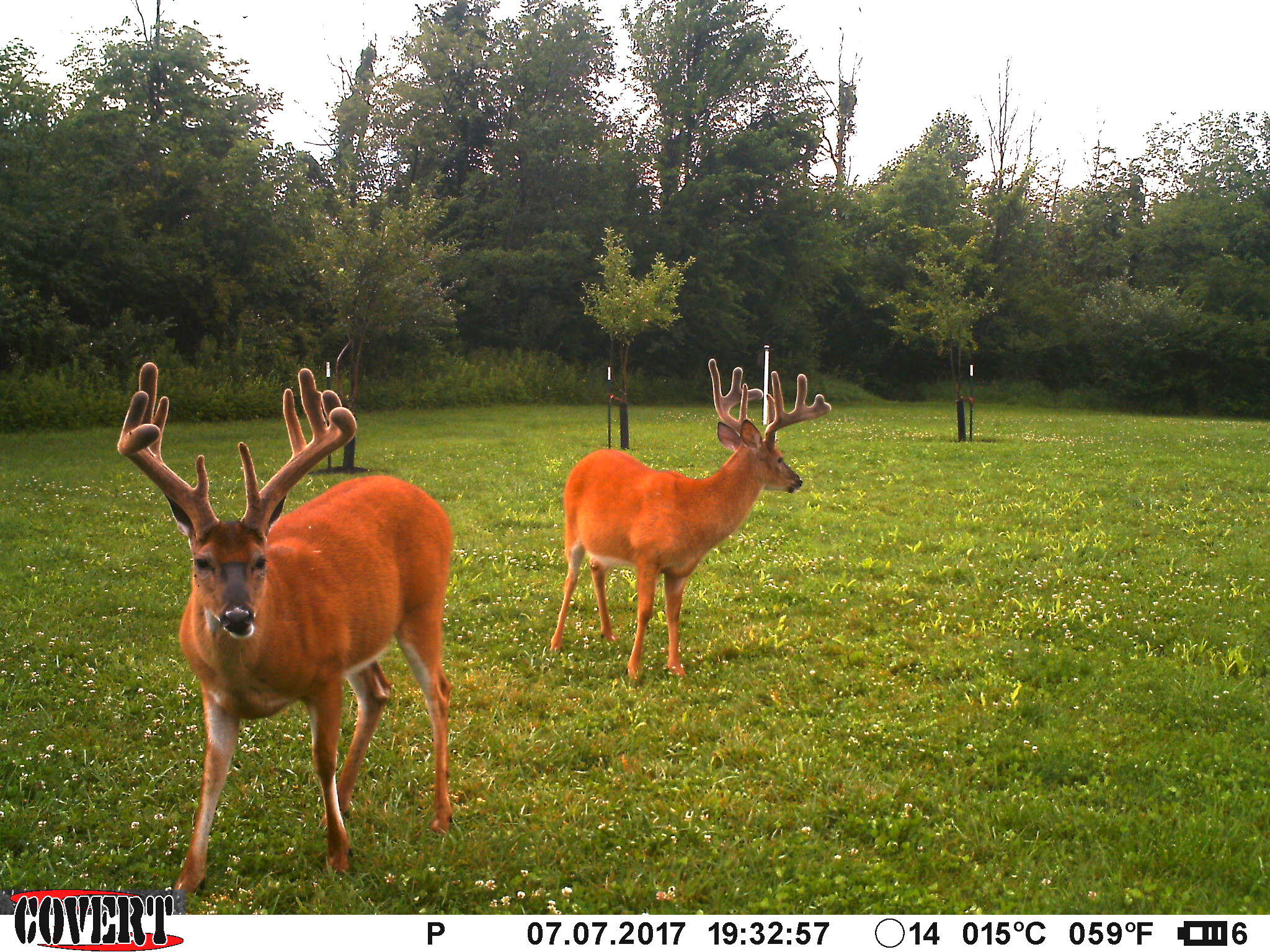 3380 T-129, Zanesfield, Ohio 43360