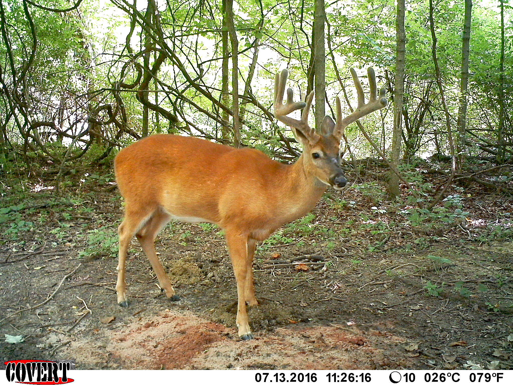 3380 T-129, Zanesfield, Ohio 43360