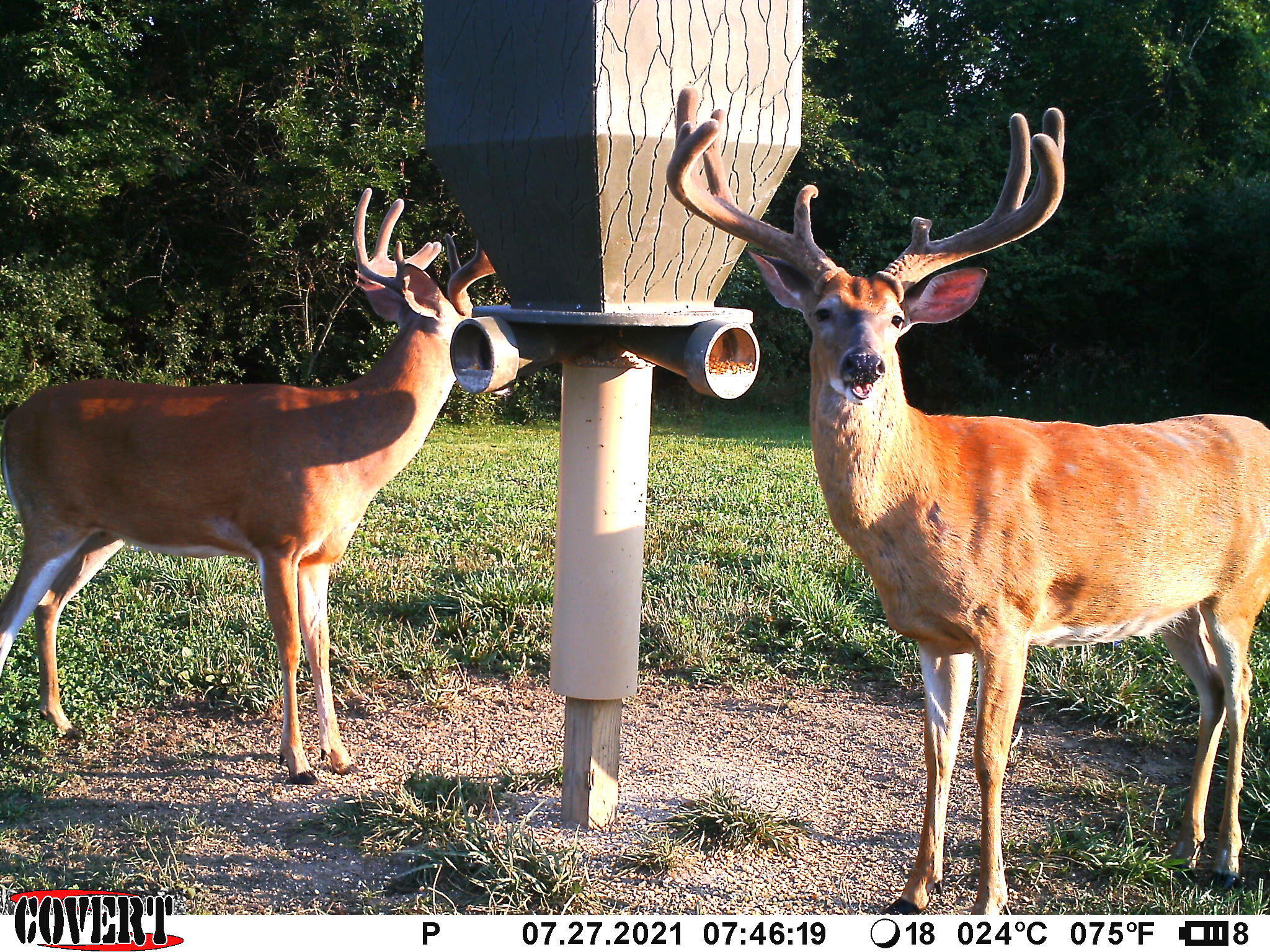 3380 T-129, Zanesfield, Ohio 43360