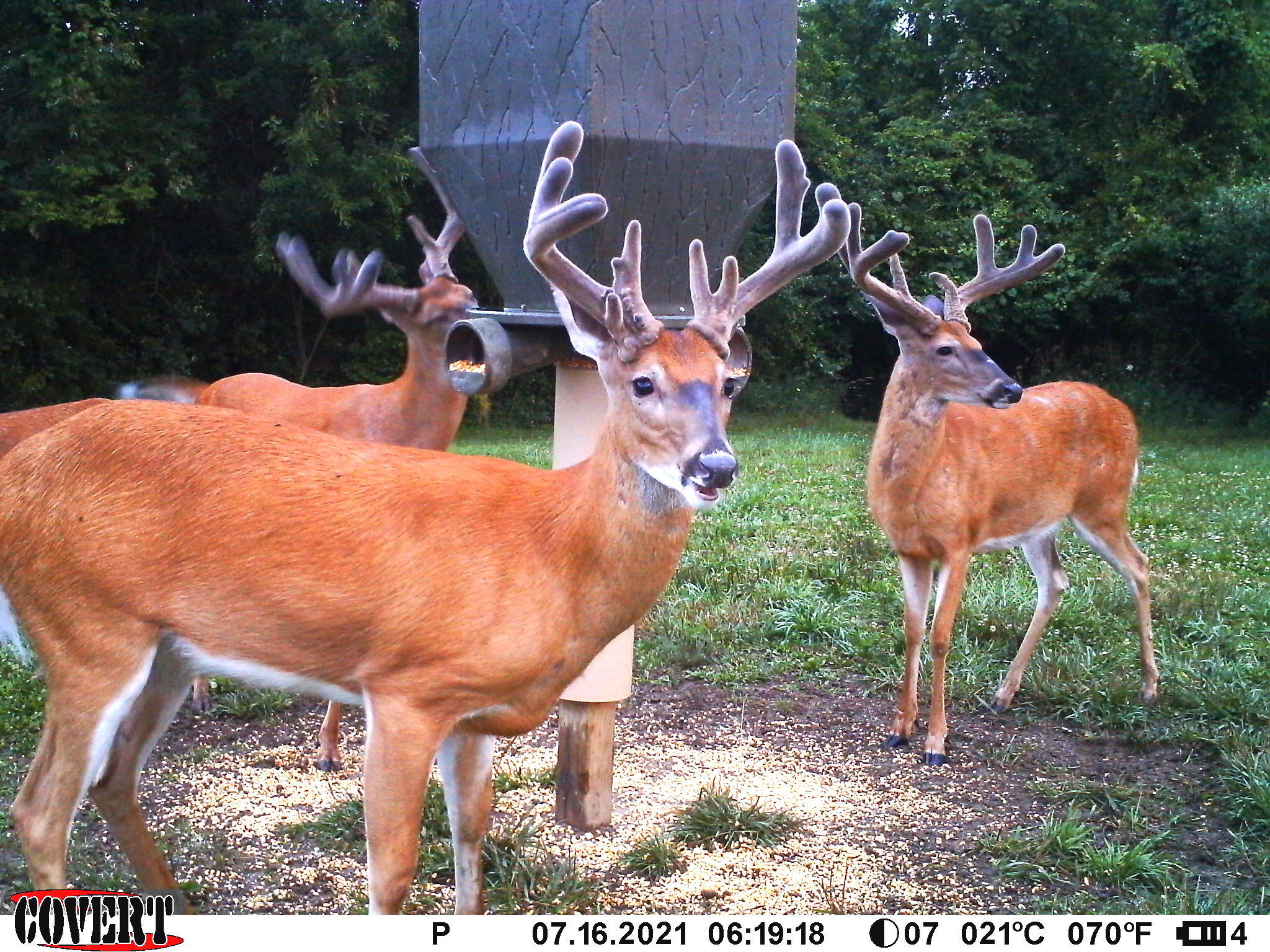 3380 T-129, Zanesfield, Ohio 43360