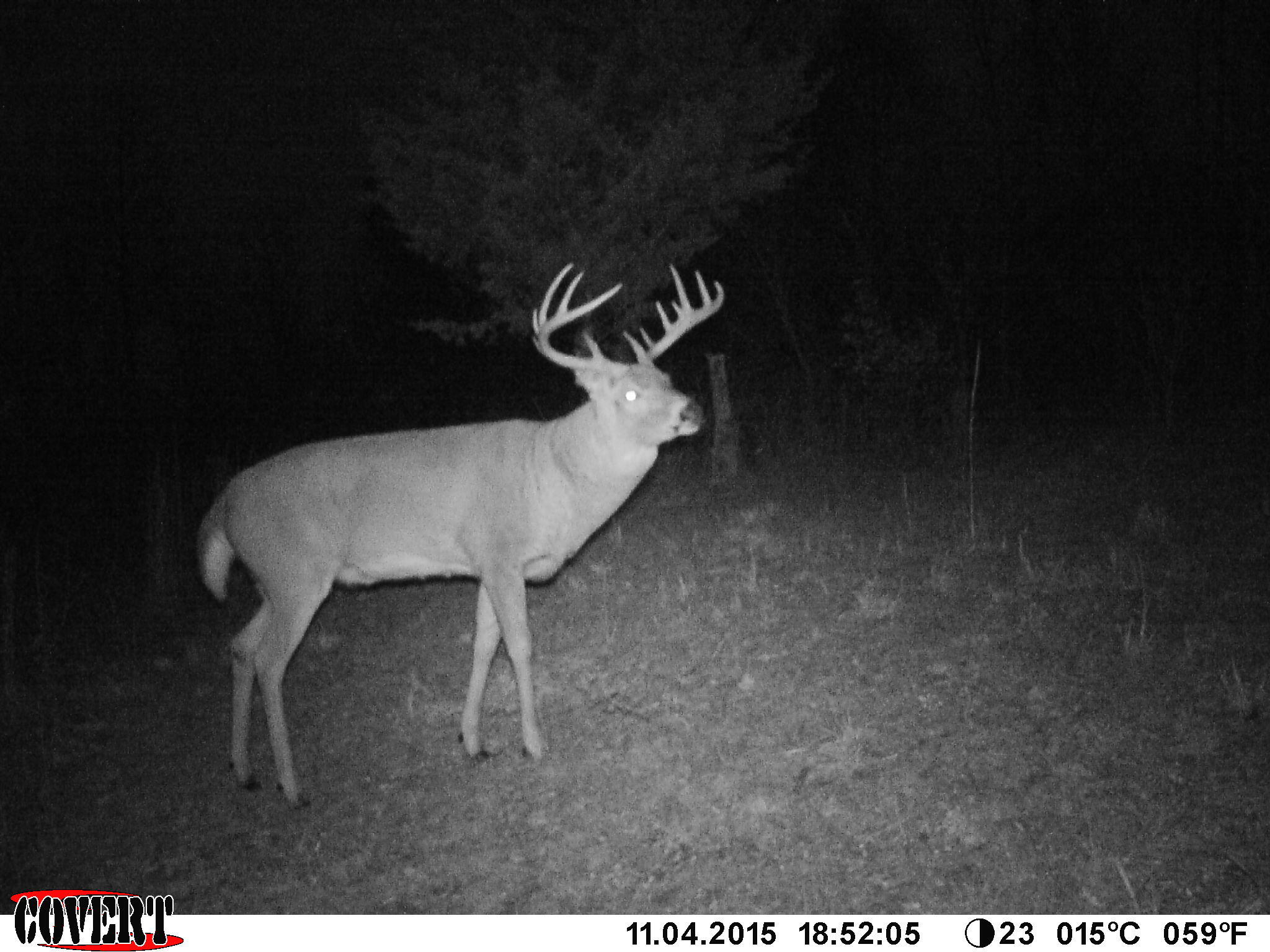 3380 T-129, Zanesfield, Ohio 43360