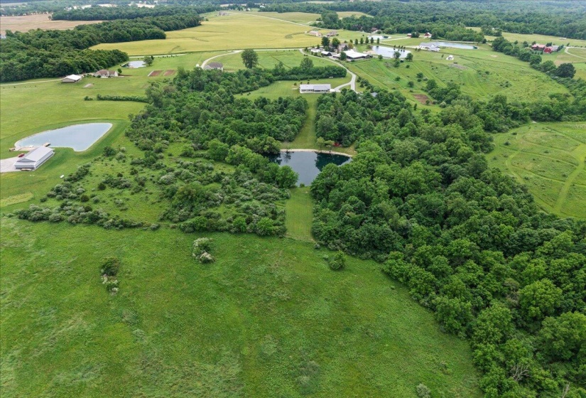 61-dji_fly_20250617_124732_0203_17501859
