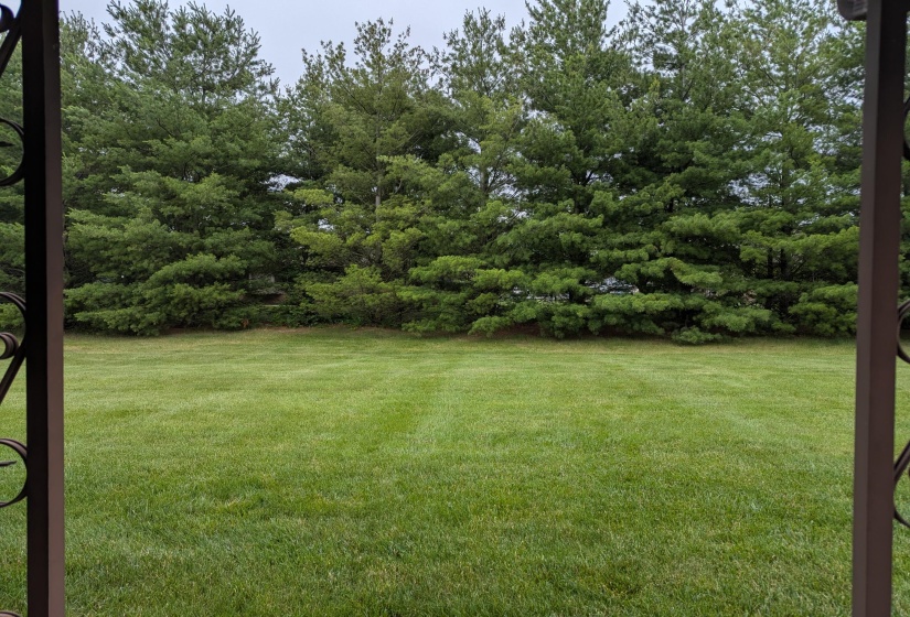 PXL_20250618_132606498.MP