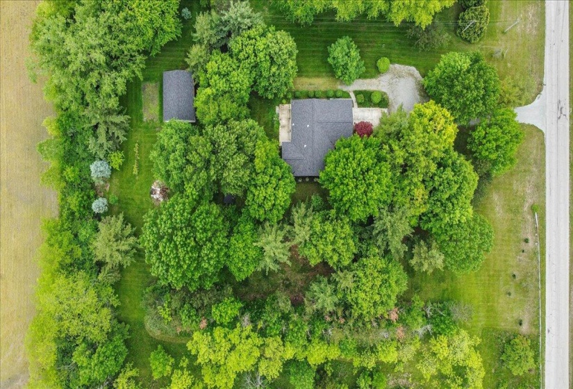 42-DJI_0878