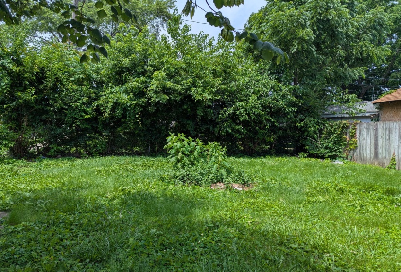 PXL_20250620_185041427.MP