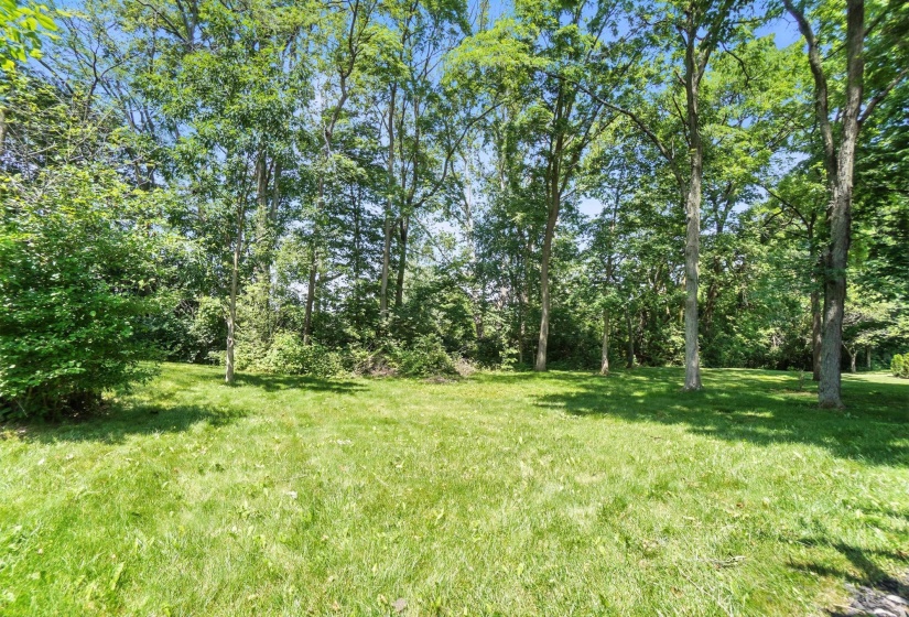 Rear Yard