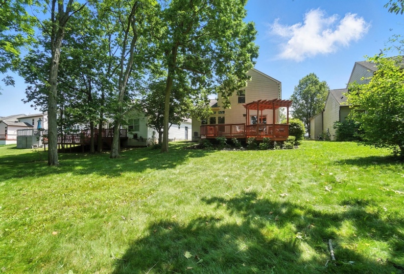 Rear Yard