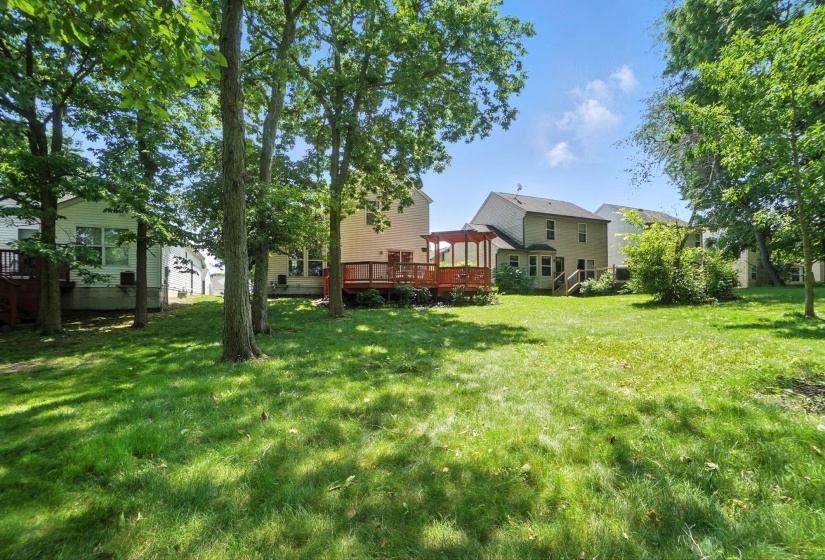 Rear Yard