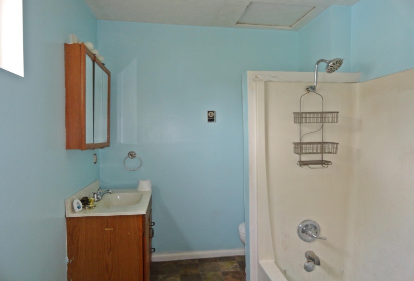 DSC01100