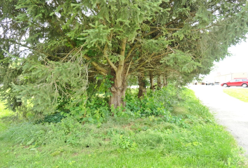 DSC01109