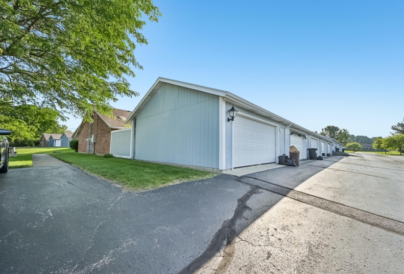 32-print-Reno Ln-S2506-032