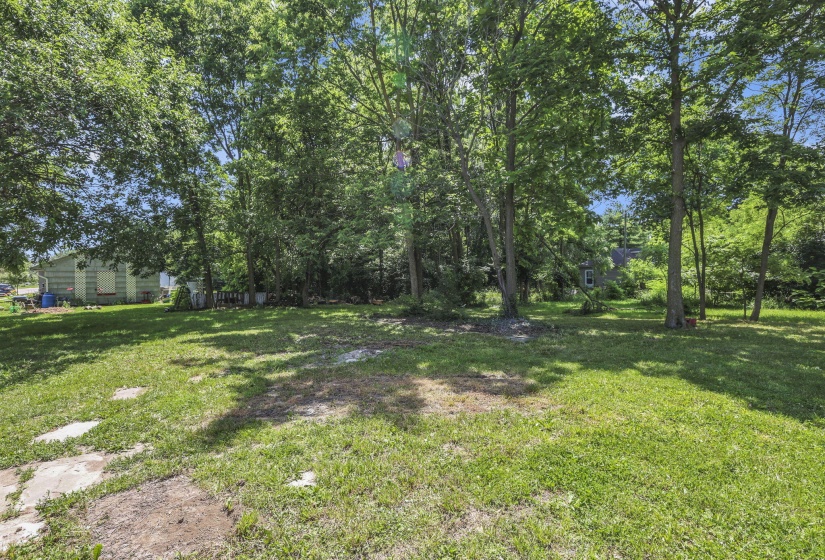 50-web-or-mls-G02A7241