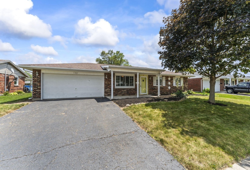 1-web-or-mls-DSC08398